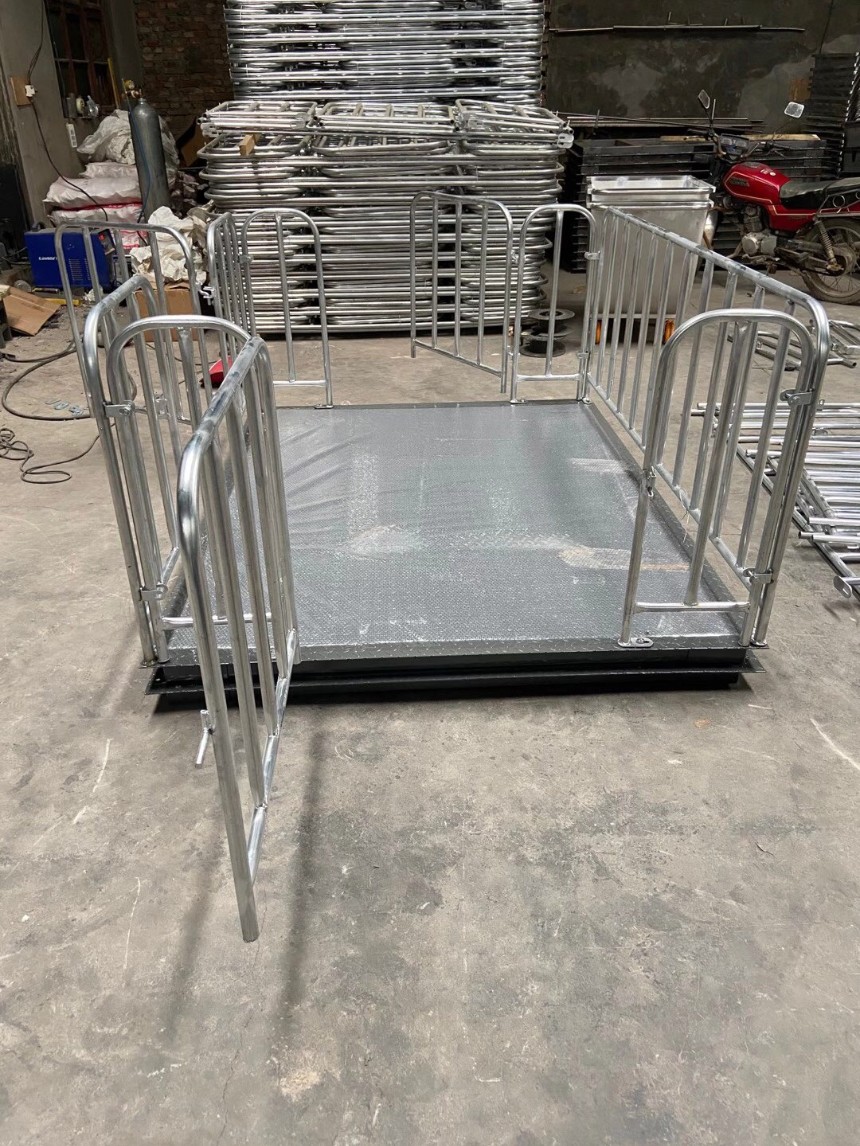 養(yǎng)殖場用稱重地磅廠家 稱豬小地磅 豬場賣豬地磅