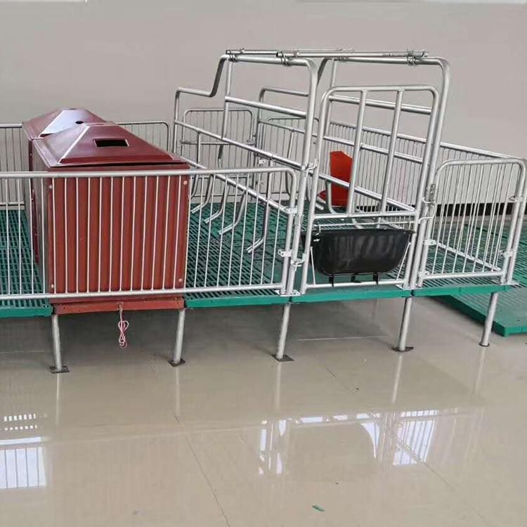 母豬分娩床 復(fù)合雙體產(chǎn)床 母豬產(chǎn)床