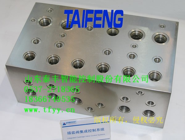 山東泰豐螺紋插裝閥體