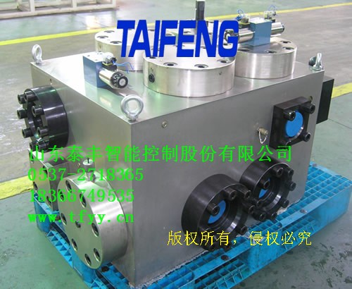 山東泰豐通用集成閥塊體