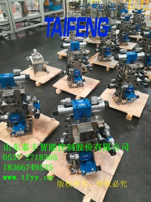 TF10032Y-00A 100噸折彎機(jī)二通插裝閥