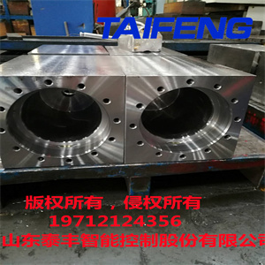 泰豐智能供應(yīng)300噸折彎機油缸WC67Y-300HD-00