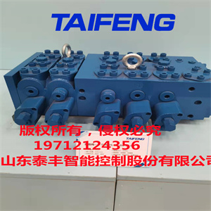 泰豐廠家供應(yīng)TRM20系列挖機專用多路閥閥片加厚減小壓力損失