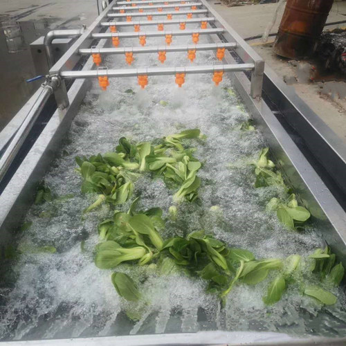 多功能蔬菜清洗機(jī)，果蔬清洗設(shè)備，菠菜清洗機(jī)