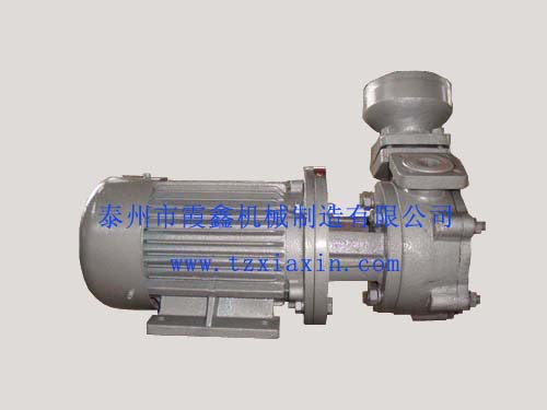 1W（Z）系列船用旋渦泵