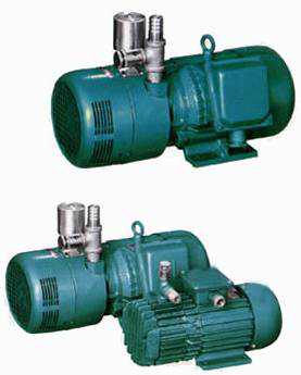 CYBW型自潤滑氣泵