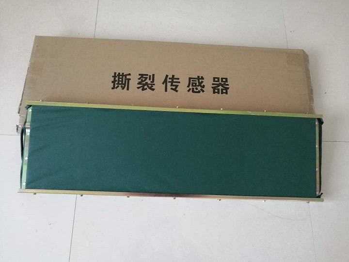 浙江瑋肯GVD1200本質(zhì)安全型撕裂傳感器