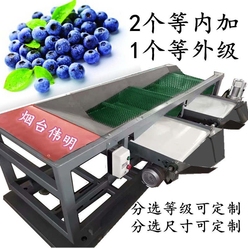 藍莓選果機不傷果粉