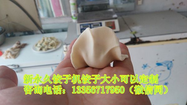 山東全自動(dòng)小型餃子機(jī)sj-100