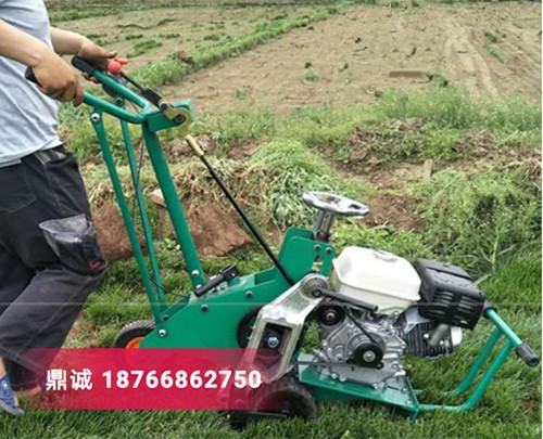 四川樂(lè)山本田汽油草坪起草機(jī)草坪切塊機(jī) 自走式鏟草皮機(jī) 草坪移植機(jī)多少錢(qián)