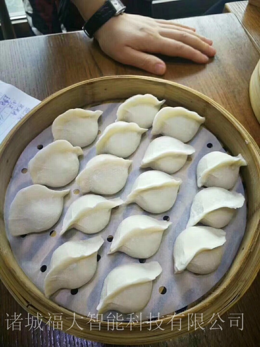 新永久廠家直供餃子館，速凍工廠，食堂等仿手工餃子機(jī)