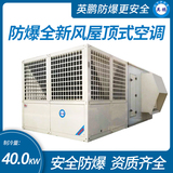 防爆全新風(fēng)屋頂式空調(diào)機(jī)制冷量40KW