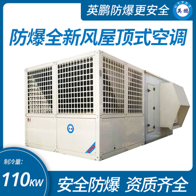 防爆全新風(fēng)屋頂式空調(diào)機(jī)制冷量110KW