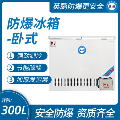 英鵬臥式防爆冰箱300L雙門
