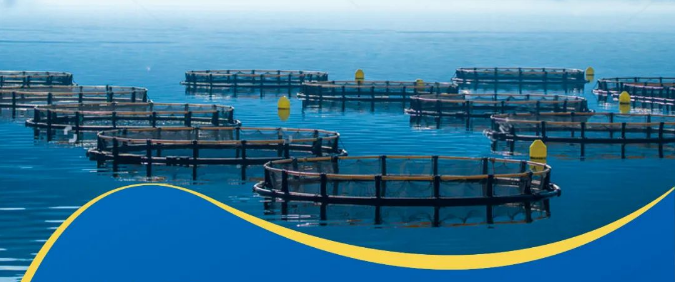 2022福州漁業(yè)博覽會(huì)，2022水產(chǎn)產(chǎn)品展