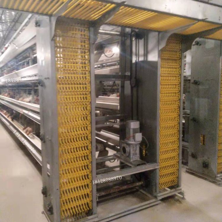 電動(dòng)傳輸養(yǎng)殖送料 喂養(yǎng) 清糞撿蛋一體機(jī)械