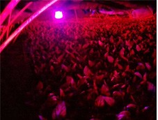 植物生長(zhǎng)燈提供了巨大的消費(fèi)市場(chǎng)