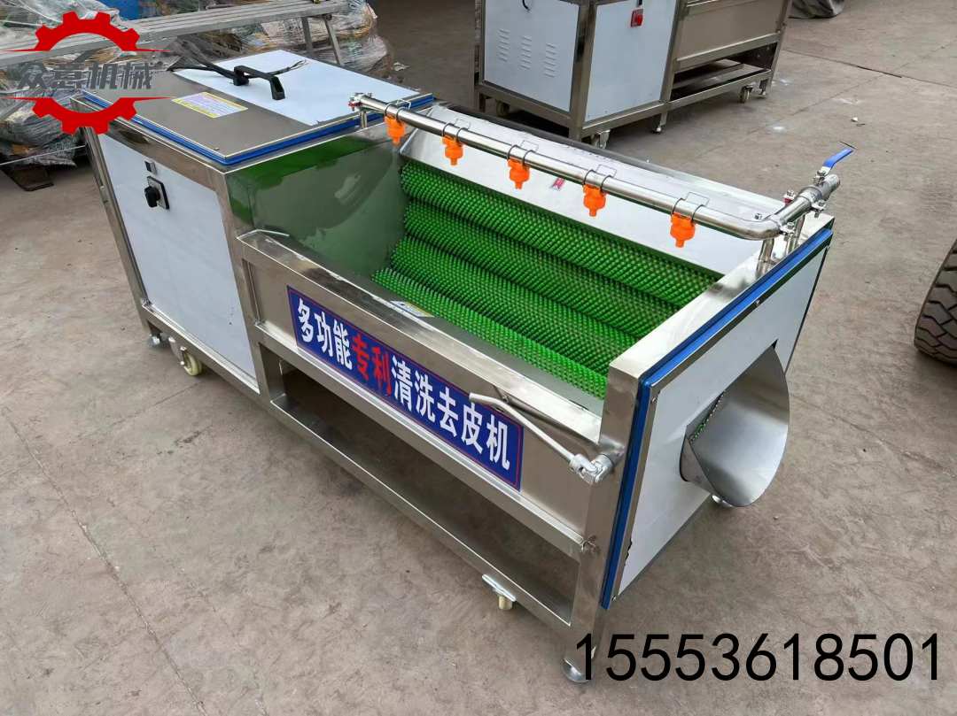 豬蹄毛輥清洗機 多功能胡蘿卜去皮毛輥清洗機 紅薯大姜清洗機