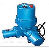 智能調(diào)節(jié)電動裝置Q30-1W/T Q20-1T