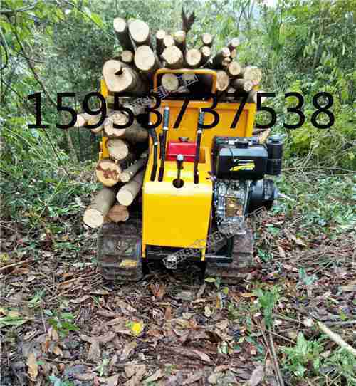 果園專用履帶運輸車本地經銷