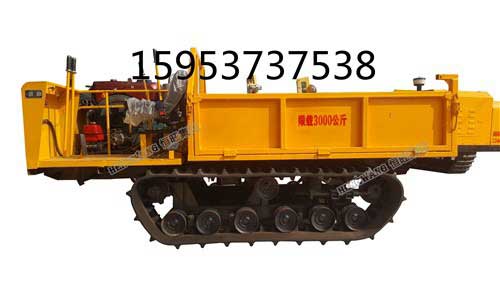 郴州市馬路履帶運輸車價格低 資興市履帶運輸車廠家直銷